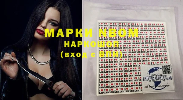 прущие грибы Тавда