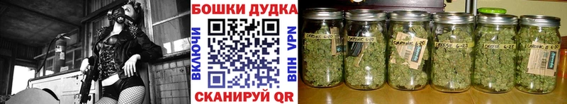 MEGA рабочий сайт  Питкяранта  Бошки Шишки AK-47  купить наркотики сайты 