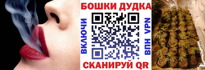 Конопля план Питкяранта